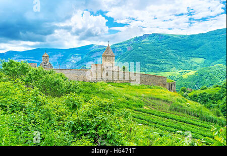 Das befestigte Tatev Kloster mit den hohen steinernen Kuppeln, verborgen hinter den Mauern ist von Ländereien und Wäldern umgeben. Stockfoto