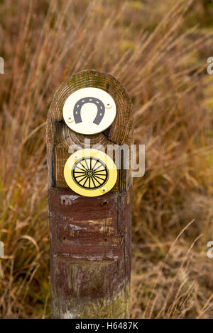 Holzstab mit Reiten und Radfahren Piktogramme auf Loenermark, einem Gebiet mit Wäldern und Mooren, Gelderland, Niederlande. Stockfoto