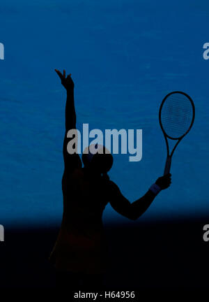 Serena Williams, USA, Tennis, Australian Open 2010, Grand-Slam-Turnier, Melbourne Park, Melbourne, Australien Stockfoto
