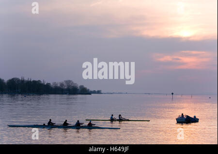 Vier und zwei Ruderboote während des Trainings, Begleitboot, Bodensee, Bregenz, Vorarlberg, Österreich Stockfoto