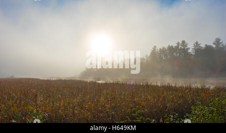 Morgennebel steigt aus warmem Wasser in kühle Luft auf Corry Lake, Ontario, Kanada. Stockfoto