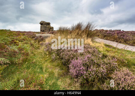 September Heather am Mutter Cap - Mühlstein Rand Stockfoto