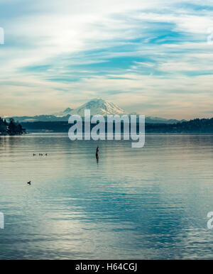 Majestätischen Mount Rainier erhebt sich über den Lake Washington bei Seattle. Stockfoto