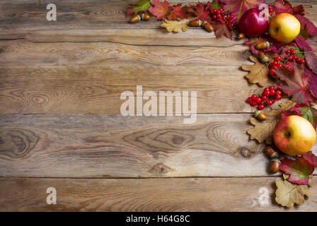 Grenze von Äpfeln, Eicheln, roten Beeren und Herbst Blätter auf den alten hölzernen Hintergrund. Thanksgiving-Hintergrund mit saisonalen berrie Stockfoto