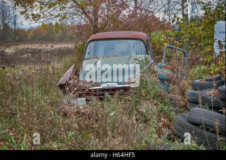 Verlassene Chevy van Stockfoto