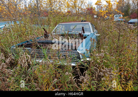 Schrottplatz mit Ford Thunderbird Stockfoto