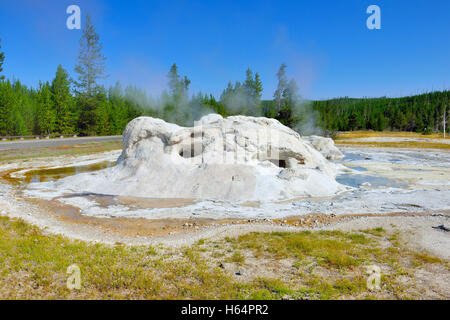 dampfenden Grotte Geysir im oberen Geysir-Becken der Yellowstone National Park, Wyoming Stockfoto