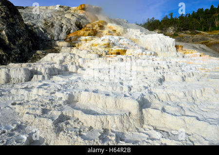 Palette-Frühling in Mammoth Hot Springs Gebiet des Yellowstone-Nationalpark, Wyoming Stockfoto