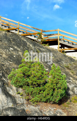 Gehweg und einen Mond in den Morgenhimmel in Minerva Terrace in Mammoth Hot Springs Gebiet des Yellowstone-Nationalpark, Wyoming Stockfoto