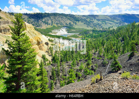 Calcit-Quellen in der Nähe von Tower Rosevelt im Yellowstone-Nationalpark im Sommer Stockfoto