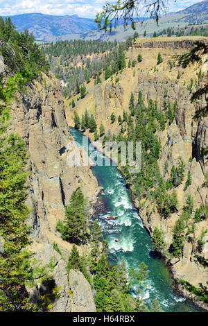 Calcit-Quellen in der Nähe von Tower Rosevelt im Yellowstone-Nationalpark im Sommer Stockfoto