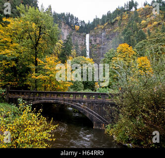 Multnomah Falls entlang der historischen Columbia River Gorge Autobahn Stockfoto