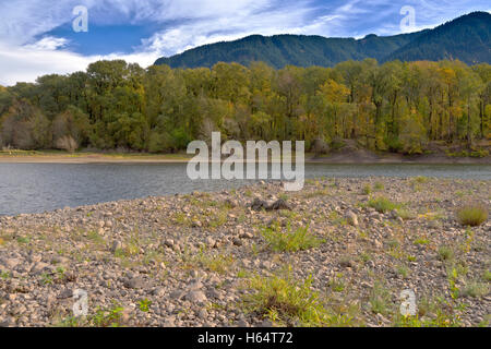 State Parks und Erholung Washington state Columbia River Gorge. Stockfoto