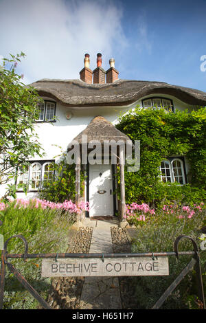 Bienenstock Cottage, Swan grün, Lyndhurst, New Forest, Hampshire, England, UK Stockfoto