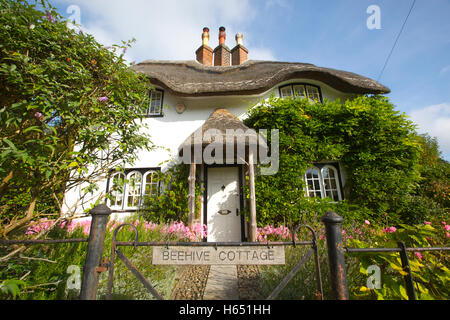 Bienenstock Cottage, Swan grün, Lyndhurst, New Forest, Hampshire, England, UK Stockfoto