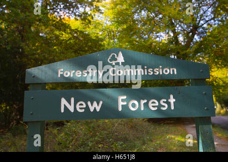 Swan grün, Emery, Lyndhurst, Hampshire, England, UK Stockfoto