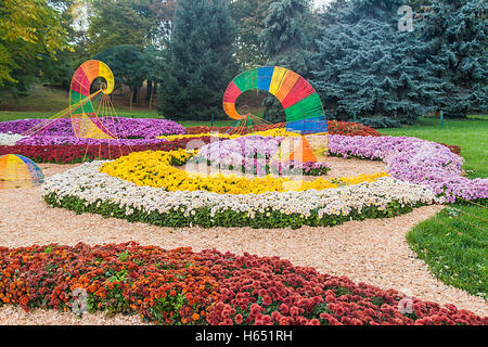 Herbst Chrysantheme Ausstellung in Kiew, Ukraine, 2016. Stockfoto