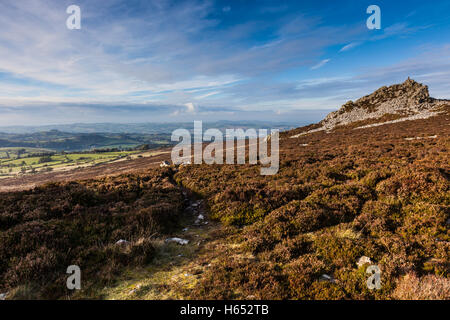 Manstone Rock on The Stiperstones, in der Nähe von Snailbeach, Shropshire, England, UK Stockfoto