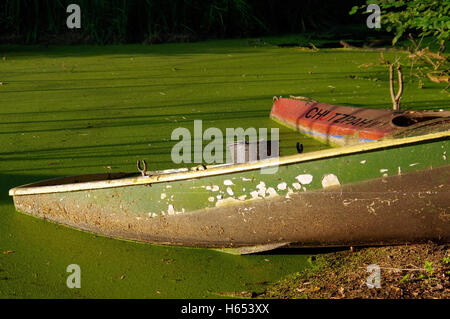 Nahaufnahme eines Teils der grüne Ruderboot untergetaucht im Wasser mit Blättern. Stockfoto