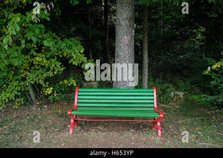 eine hölzerne grünen Parkbank unter Bäumen im Wald Stockfoto