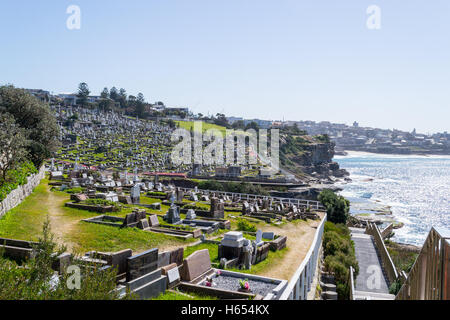 Bondi, Coogee Spaziergang befindet sich 6 km lange befindet sich im östlichen Vororte Sydneys Stockfoto