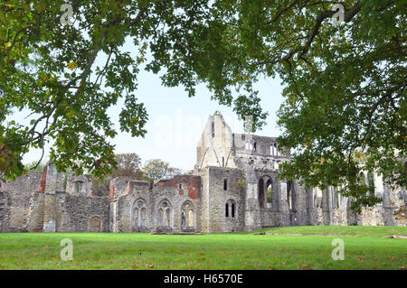 Eiche framing die Ruinen der Abtei aus dem 13. Jahrhundert Netley Stockfoto