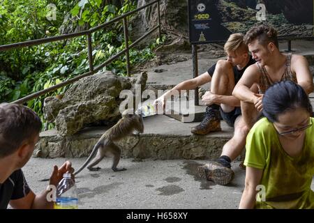 Kuala Lumpur, Kuala Lumpur, Malaysia. 22. Oktober 2016. Ein Mann ernährt sich eine Affe beim Ausruhen am Eingang des Batu-Höhlen, nachdem seine Höhle trekking am Batu in Kuala Lumpur, Malaysia Höhlen. © Chris Jung/ZUMA Draht/Alamy Live-Nachrichten Stockfoto