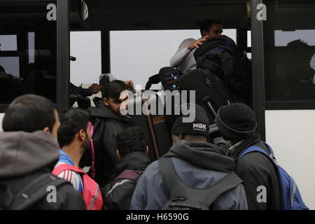 Calais, Frankreich. 24. Oktober 2016. Flüchtlinge an Bord den Bus, der sie zu ihrem nächsten Zielort zu bringen. Der erste Tag der Registrierung und Verteilung der Flüchtlinge aus dem Dschungel in Calais hat gesehen, dass 1631 Flüchtlinge in 39 Busse von 16:00 an mehreren Orten in Frankreich verteilt wurden. Stockfoto