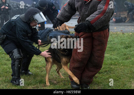 Diepholz, Deutschland. 24. Oktober 2016. Polizisten von der Polizeihund Handler Maßeinheit der Polizei Osnabrück, zusammen mit der Polizei und dem zentralen Polizei Deprtment Niedersachsen sind Diensthunde während einer gewalttätigen Demonstration in Diepholz, Deutschland, 24. Oktober 2016 bereitstellen. Foto: Ingo Wagner/Dpa/Alamy Live News Stockfoto