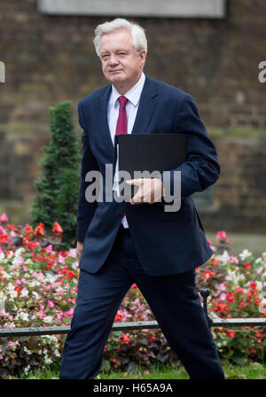 London, UK. 24. Oktober 2016. Downing Street.London.Prime Ministerin Theresa Mai trifft sich Staats-und Regierungschefs die 3 autonomen Regierungen vor der britischen Verhandlungen um die EU verlassen. Bild zeigt Brexit Minister David Davies Credit: PAUL GROVER/Alamy Live-Nachrichten Stockfoto