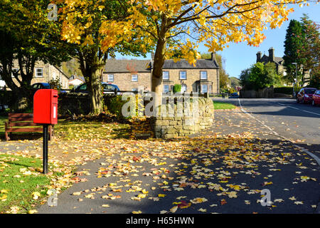 Lea, Derbyshire, UK. 25. Oktober 2016. Das kleine Dorf von Lea und Bogen Holz war berühmtesten Bewohner Florence Nightingale dessen Familie nach Hause Lea Hurst im Dorf ist. Bildnachweis: Ian Francis/Alamy Live-Nachrichten Stockfoto