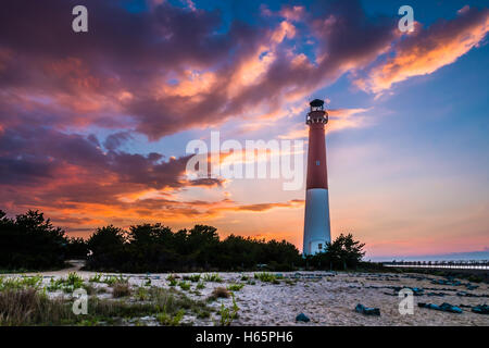 Barnegat Leuchtturm bei Sonnenuntergang, Leuchttürme in New Jersey, Stockfoto