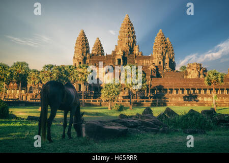 Schöne Aussicht auf die Tempel von Angkor Wat, Kambodscha, Südost-Asien Stockfoto