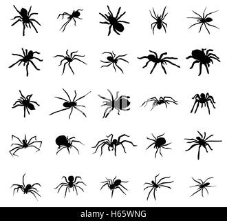 Spinne Silhouetten eingestellt Stock Vektor