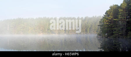 Loch Garten bedeckt im frühen Morgen Nebel, Abernethy Wald, Überrest des kaledonischen Waldes in Strathspey, Schottland Stockfoto