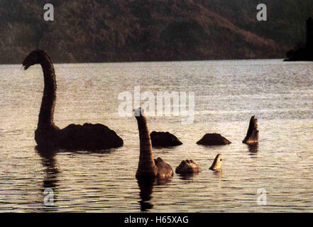 Nessie, Das Verrückteste Monster der Welt, auch bekannt als: Der Lustigste Dino der Welt, Deutschland 1985, Regie: Rudolf Zehetgruber, Schauspieler/Stars: Delia Behpour, Miriam Behpour, Gerd Duwner Stockfoto