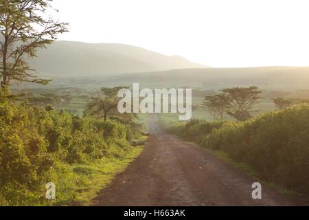 Nebenstraßen in den frühen Morgenstunden auf Safari im Serengeti Nationalpark, Tansania. Stockfoto