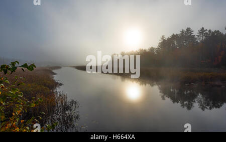 Morgennebel steigt aus warmem Wasser in kühle Luft auf Corry Lake, Ontario, Kanada. Stockfoto