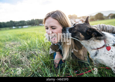 Schöne junge Frau mit Hund im sonnigen grün Stockfoto