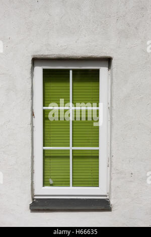 Fenster mit lebendigen Grün blind Stockfoto