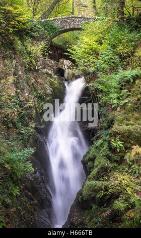 Aira Force Wasserfall mit Herbstfärbung, in der Nähe von Ullswater, Seenplatte, Cumbria UK Stockfoto