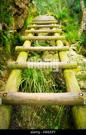 Wandern-Leiter im Vorfeld durch Skeleton Schlucht, Tafelberg in Kapstadt Stockfoto