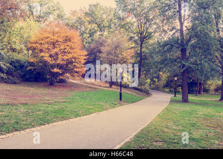 Central Park autumn landscape. Instagram style post-processing. Stockfoto