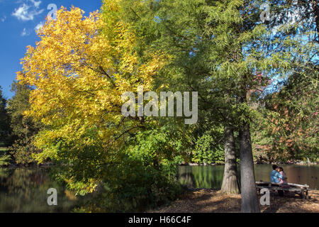 Herbstliche Landschaft mit einem jungen Paar küssen. Stockfoto