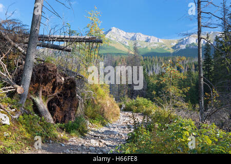 Hohe Tatra - der Weg zum Zelené Pleso See mit der Belianske Tatry im Hintergrund. Stockfoto