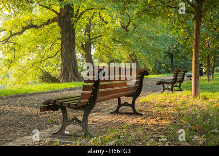 Herbstmorgen im Park Staromiejski, Breslau, Niederschlesien, Polen. Stockfoto