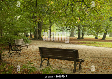 Herbstmorgen in South Park (Park Poludniowy), Wroclaw/Breslau, Polen. Stockfoto