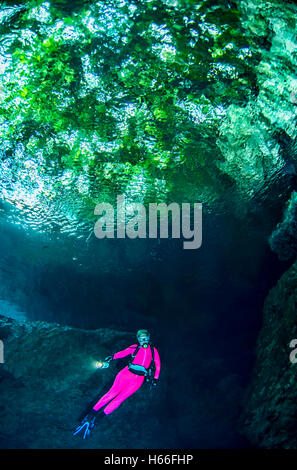 Scuba Diver erforscht unter Dschungel Baldachin Stockfoto