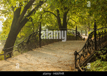 Herbstmorgen in South Park (Park Poludniowy), Wroclaw/Breslau, Polen. Stockfoto