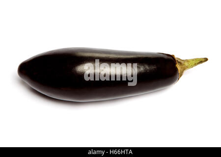 Aubergine isoliert auf weißem Hintergrund Stockfoto